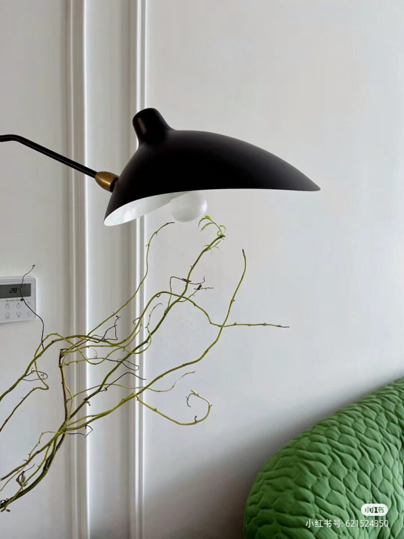 Elegant Copper Carbon Steel Wall lamp